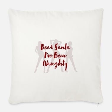 Christmas Pillow Happy Holidays Gift for Him Naughty Or Nice Merry Christmas Dear Santa I Can Explain All-Over Print Basic Pillow Case Stocking Stuffer Gift for Her 