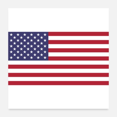 Flag American Flag of United States - Poster