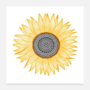 Mandala golden mandala sunflower - Poster