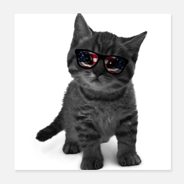 Flag cat with sunglasses - Poster