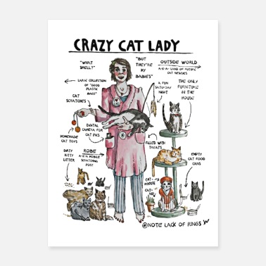 Lady Crazy Cat Lady Facts Funny Gift Cat Lovers - Poster