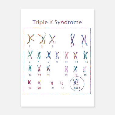Triple Triple X Syndrome Chromosomes - Poster