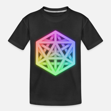 Platonic Solids Stacked Platonic Solids NFIcon - Toddler Organic T-Shirt