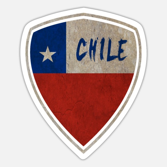 NEW Chile Flag Teddy Bear Chilean Fan Gift Present Birthday Xmas