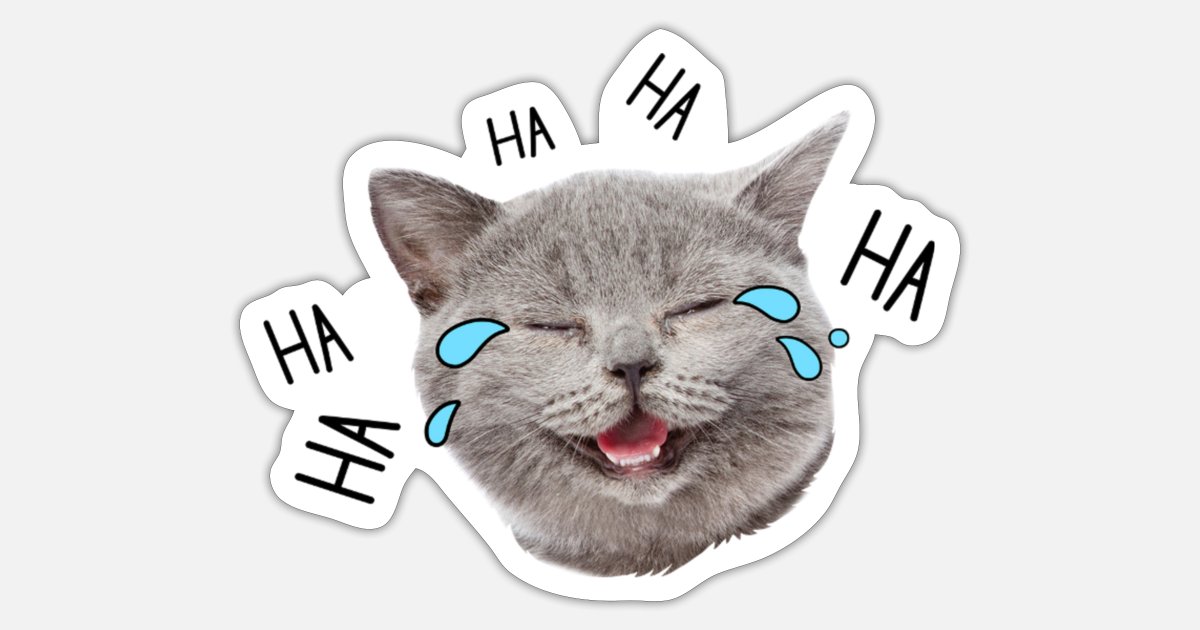 [Image: laughing-cat-crying-sticker.jpg]