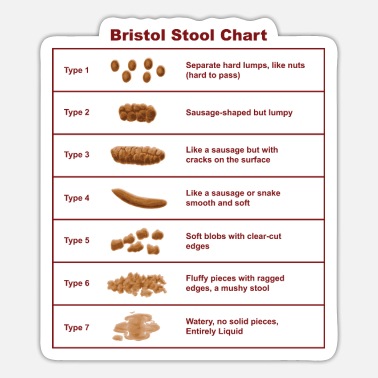 Healthy Bristol Stool Chart / Scale - Sticker