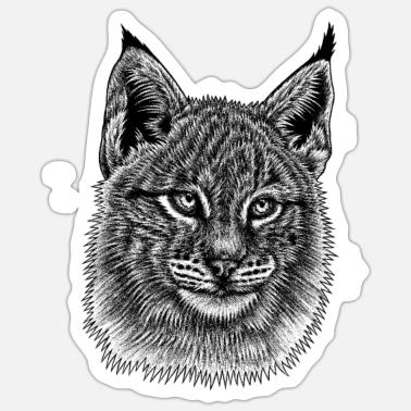 Chaton Lynx Chat Sauvage Illustration A L Encre Poster Spreadshirt