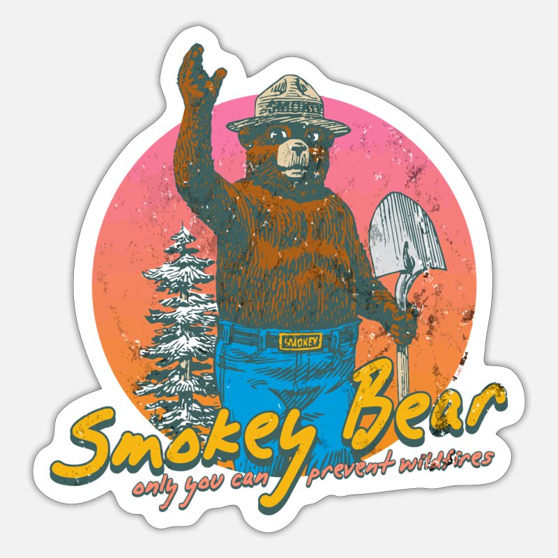 US SELLER Vintage Smokey The Bear Vinyl Sticker 