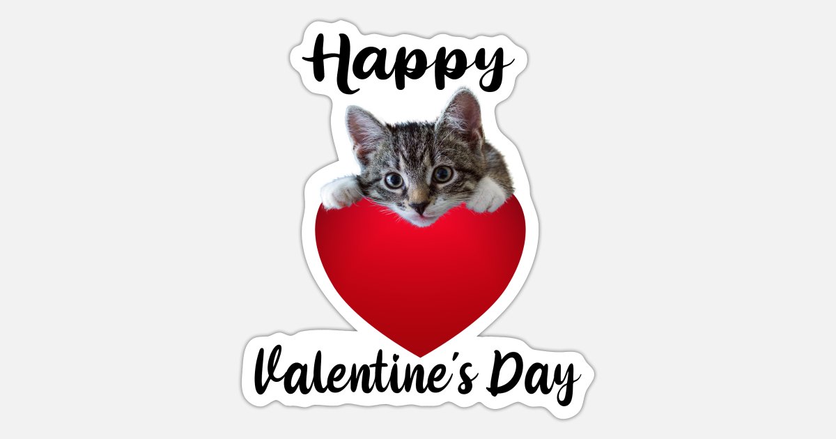 Cat Valentine Vinyl Laptop Sticker Cute Cat Sticker Cat Lover Valentines Day Sticker Cat Heart Sticker 