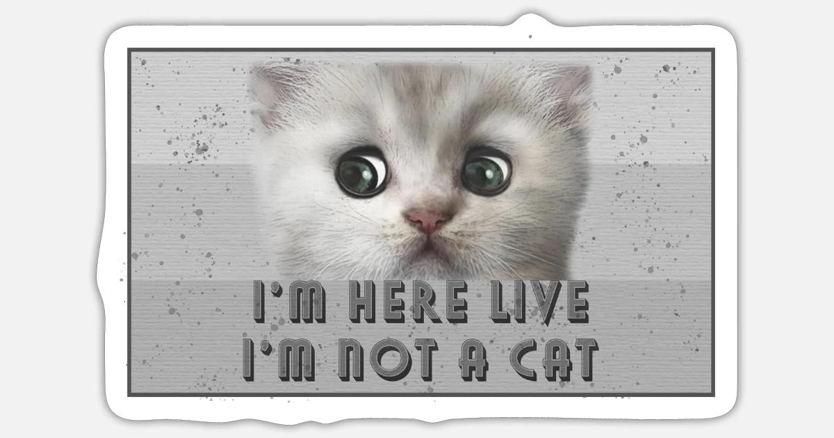 Cat Lawyer Meme I M Not A Cat I M Here Live Sticker Spreadshirt