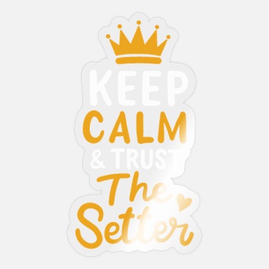 Volleyball Setter Volleyball Keep Calm And Trust The Setter Player - Sticker