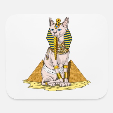 Chat égyptien sans poil