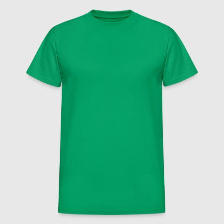 Heavyweight Unisex T-Shirt by Gildan - Front