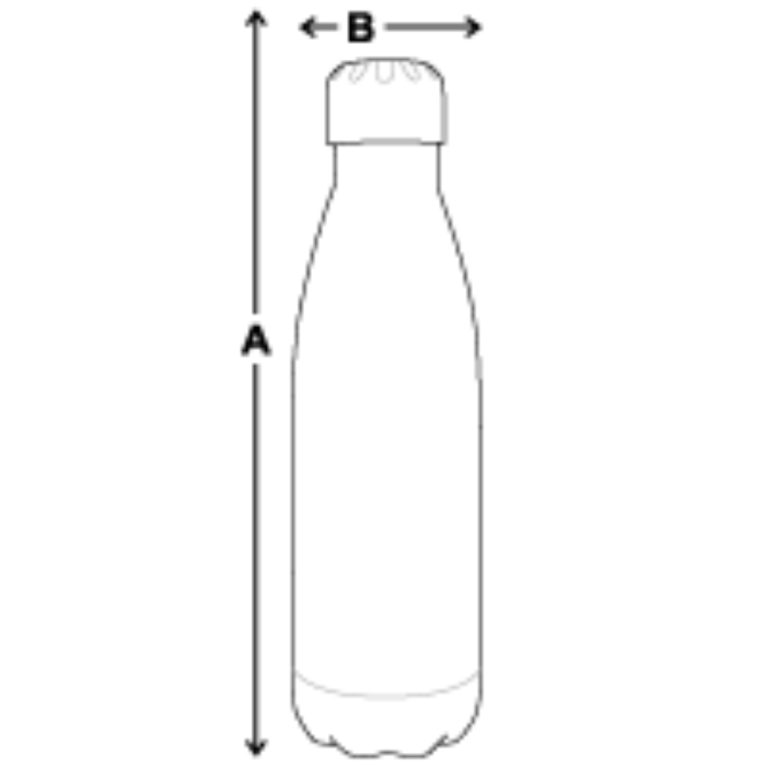 Insulated Stainless Steel Water Bottle