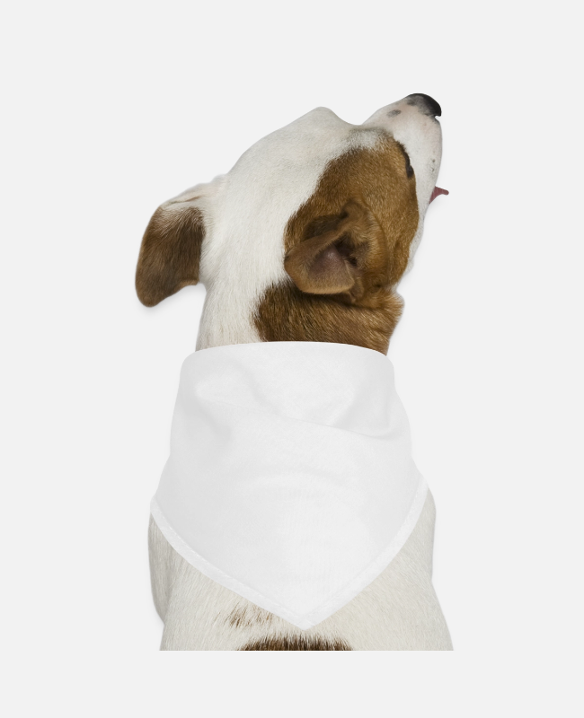 Dog Bandana Front - center