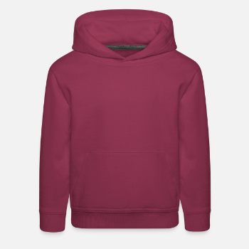 Product details: Kids‘ Premium Hoodie Front