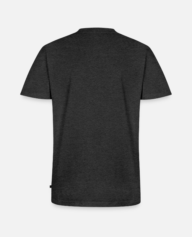 Men's Premium Organic V-Neck T-Shirt Back - center