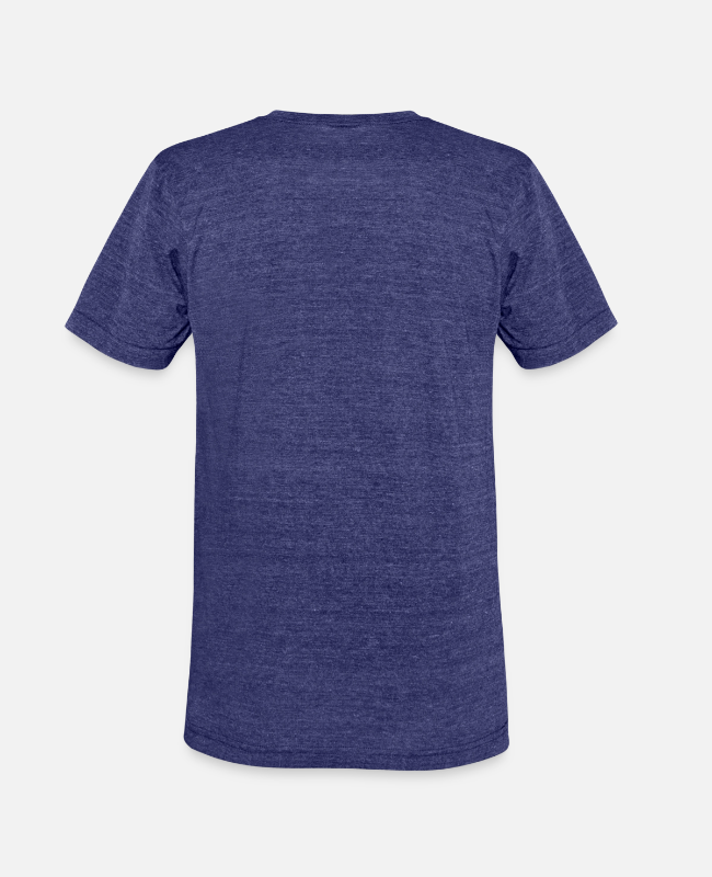 Unisex Tri-Blend T-Shirt Back - center