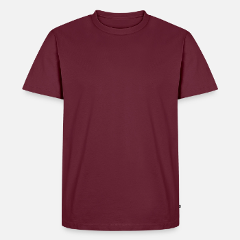 Product details: Men's Premium T-Shirt Front