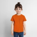 Toddler Premium T-Shirt Front - Slide 2