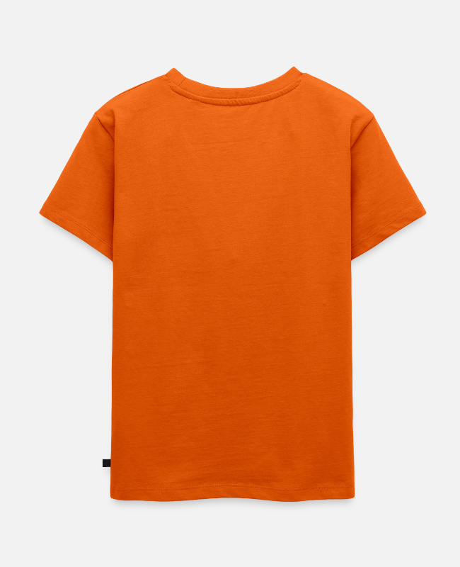 Toddler Premium T-Shirt Back - center
