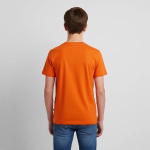 Kids' Premium T-Shirt - Back
