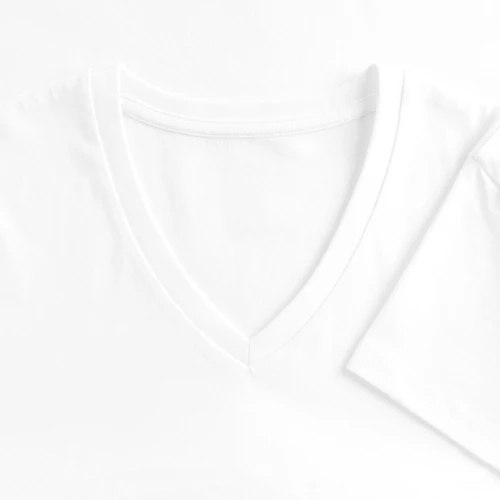Women's Premium Organic V-Neck T-shirt