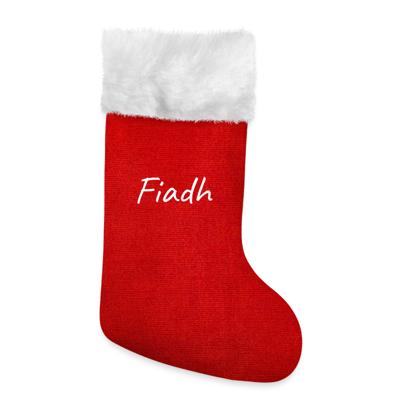 Christmas stocking personalised with example name Fiadh