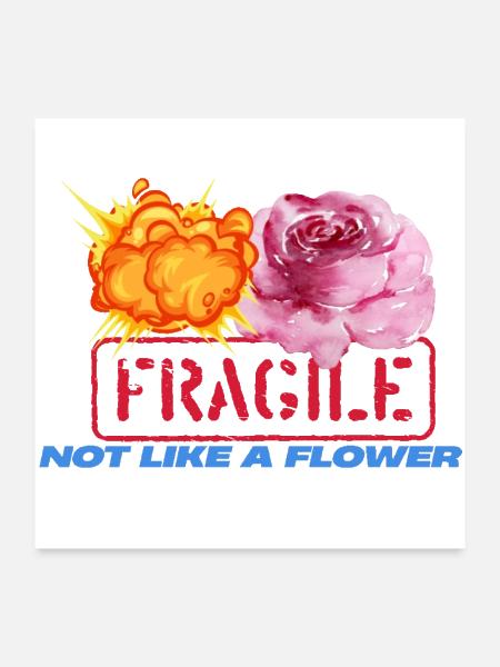 fragile not like a flower but like a bomb - Poster 24x24 - white
