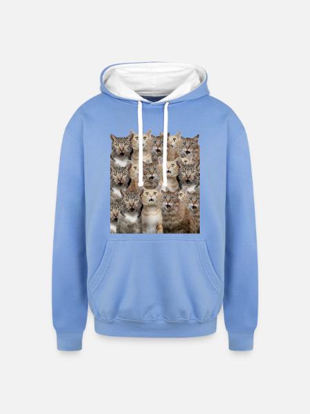 Surprised cats - Unisex Contrast Hoodie - sky blue/white