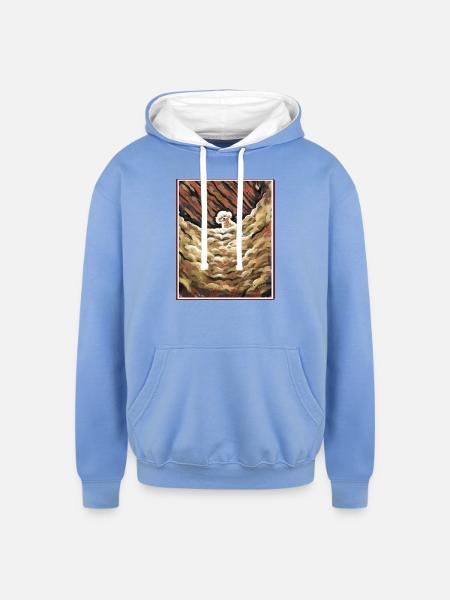 Precious - Unisex Contrast Hoodie - sky blue/white