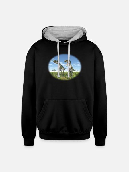 Monolophosaurus in a Prehistoric Landscape - Unisex Contrast Hoodie - black/heather gray