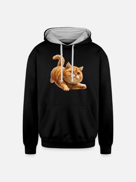 Funny Cat - Unisex Contrast Hoodie - black/heather gray