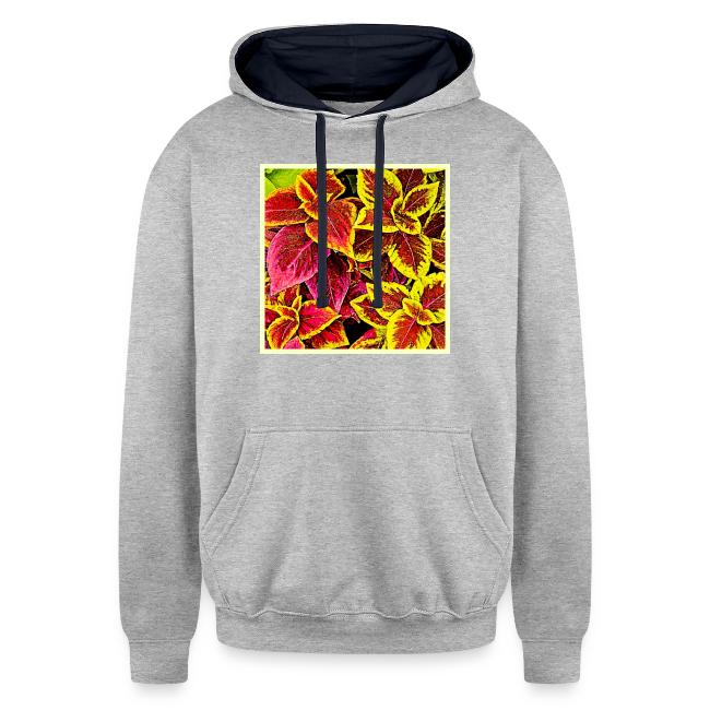 Coleus Leaf Burst Design