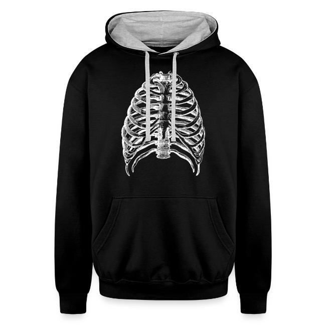 Human Rib Cage