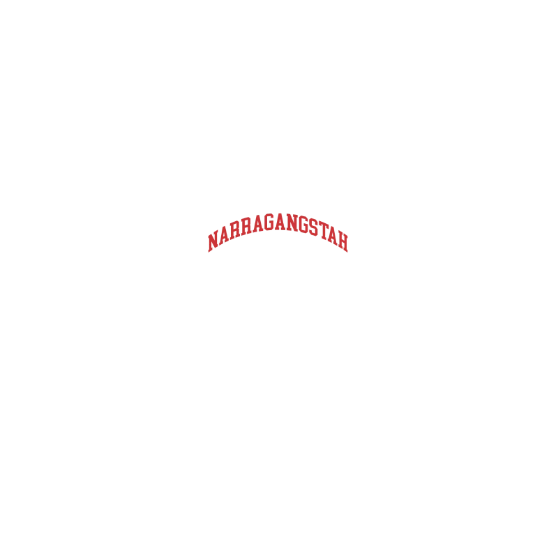 Narragangstah Red - Women's Tri-Blend V-Neck T-Shirt