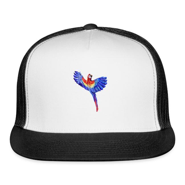 Scarlet macaw parrot