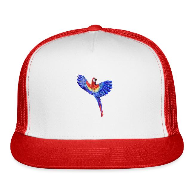 Scarlet macaw parrot