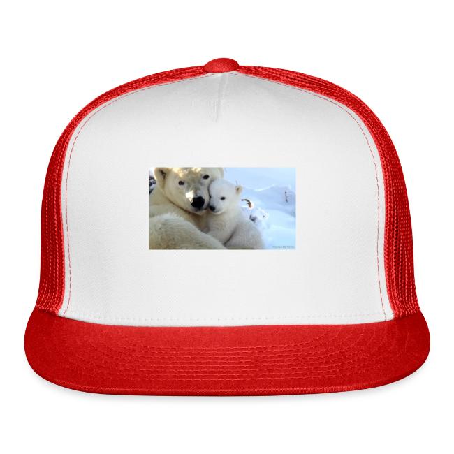 polarbearhug
