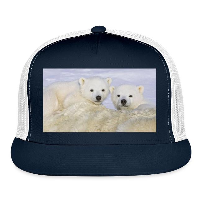 polarbears