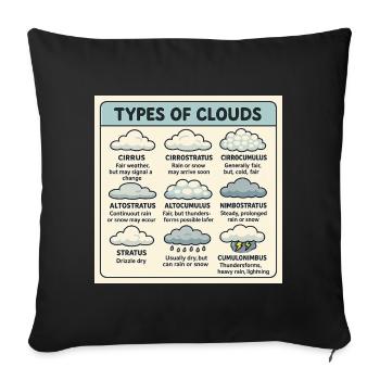 Illustration of Cloud Types and Weather Symbols - Throw Pillow Cover 17.5” x 17.5” - black - Front