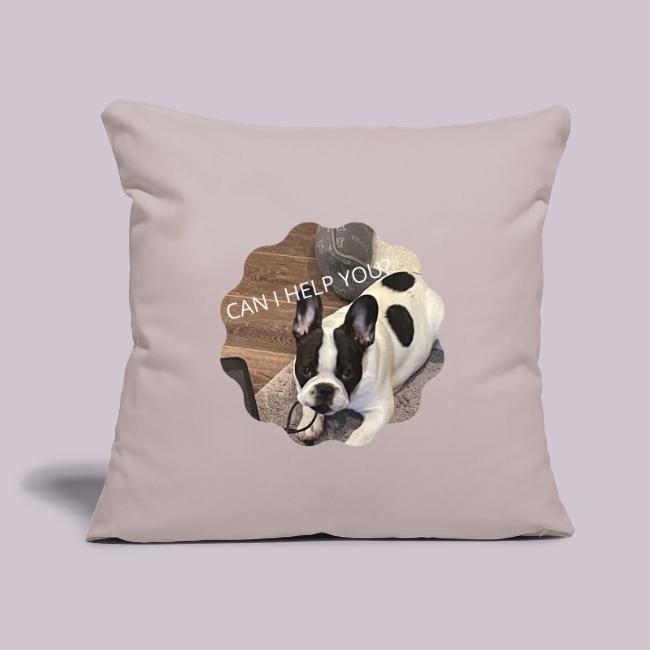 MOCHI CAN I HELP YOU