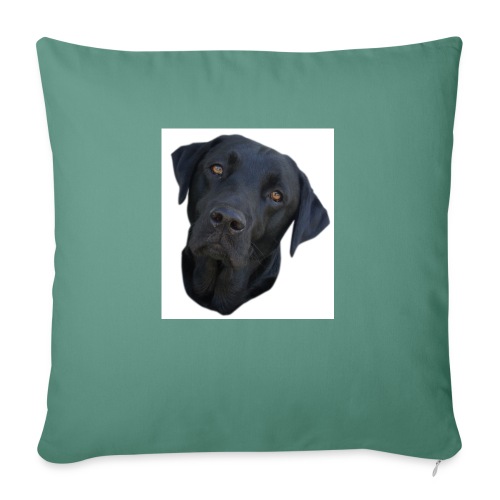 bentley2 - Throw Pillow Cover 17.5” x 17.5”