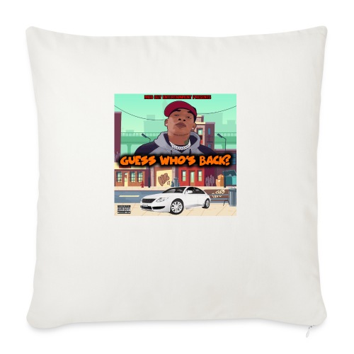 Guess Who s Back - Throw Pillow Cover 17.5” x 17.5”