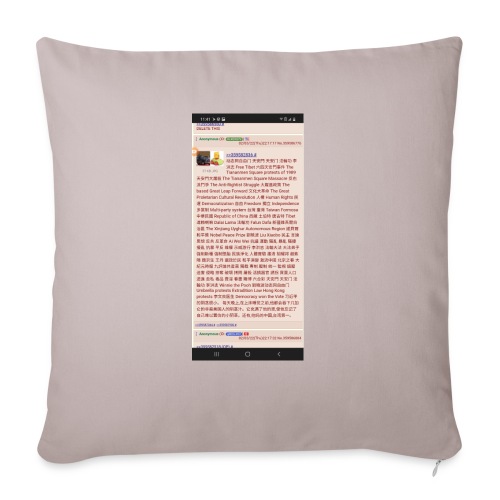 4chan post - Throw Pillow Cover 17.5” x 17.5”