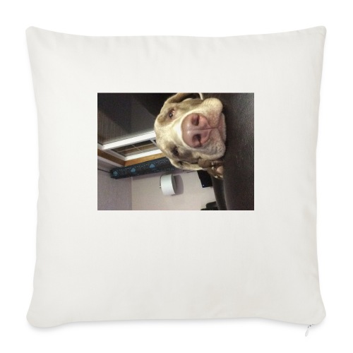 Finn Sideways On The Couch Merch - Throw Pillow Cover 17.5” x 17.5”