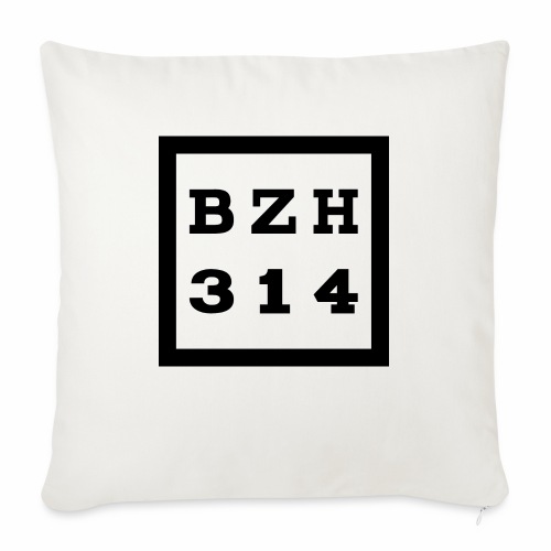 BZH314 Games Big Logo - Throw Pillow Cover 17.5” x 17.5”