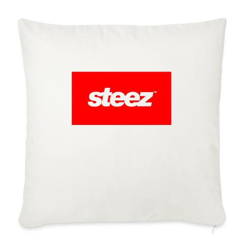 Steez Big Box - Throw Pillow Cover 17.5” x 17.5”