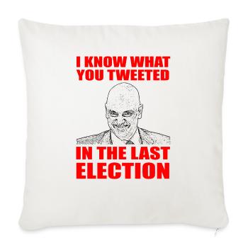 I know what you tweeted in the last election funny - Throw Pillow Cover 17.5” x 17.5” - natural white - Front