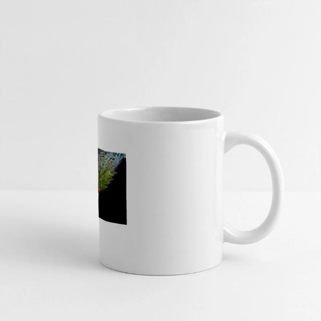 "Pineapple" Cute Photo. Buy Now